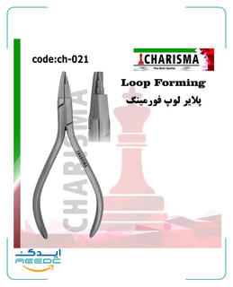 پلایر لوپ فورمینگ کاریزما