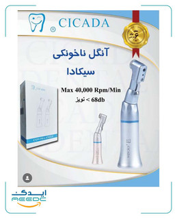آنگل ناخونکی سیکادا